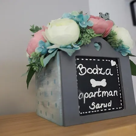 Bodza 1 - דירה Sarud